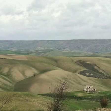 B&B Mantegna Irsina Mt Екстериор снимка